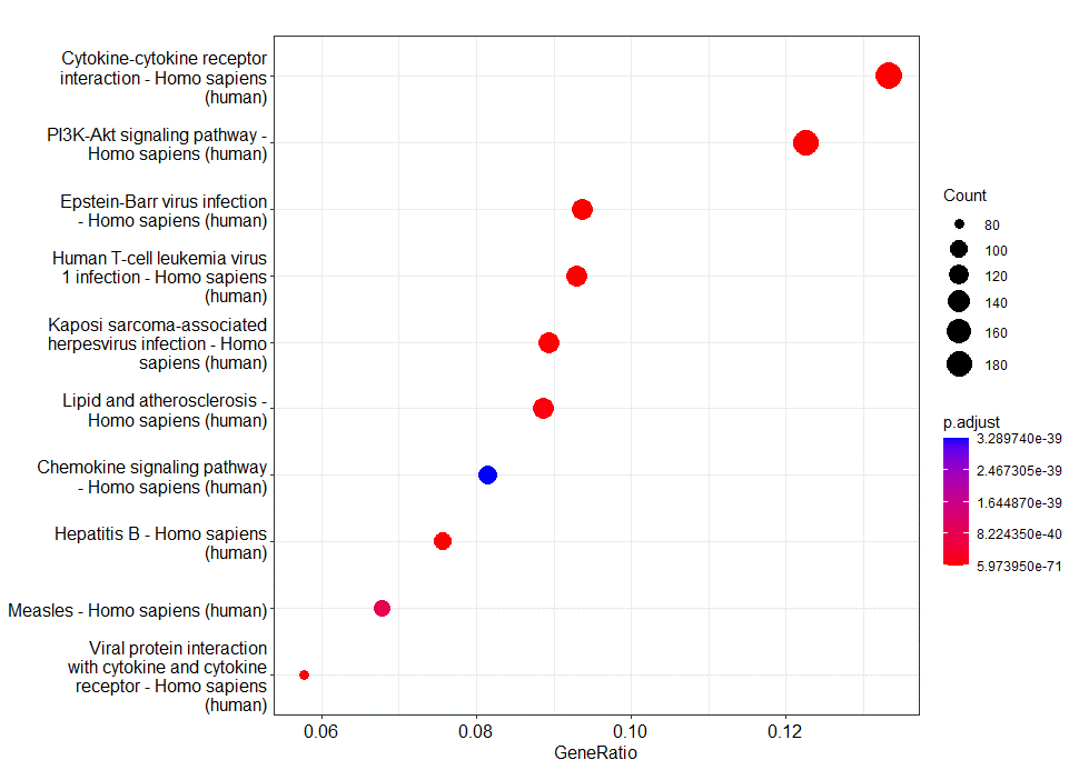 KEGG通路富集分析图A